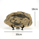 GobekUsa Dinosaur Fossil Figurine: Retro Resin Animal Statue for Home Décor & Gifts
