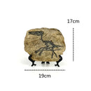 GobekUsa Dinosaur Fossil Figurine: Retro Resin Animal Statue for Home Décor & Gifts
