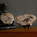 GobekUsa Dinosaur Fossil Figurine: Retro Resin Animal Statue for Home Décor & Gifts