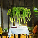 GobekUsa Retro Metal 2-Headed Black LED Drop Lamp for Restaurant Island Ceiling - Trapezoid Design with Plant Decor