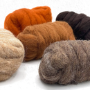 Autumn Harvest Carded Corriedale Wool Sliver Variety Pack by Revolution Fibers