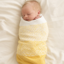 Baby Bloom | Gradient Yarn Baby Blanket Kit by Revolution Fibers