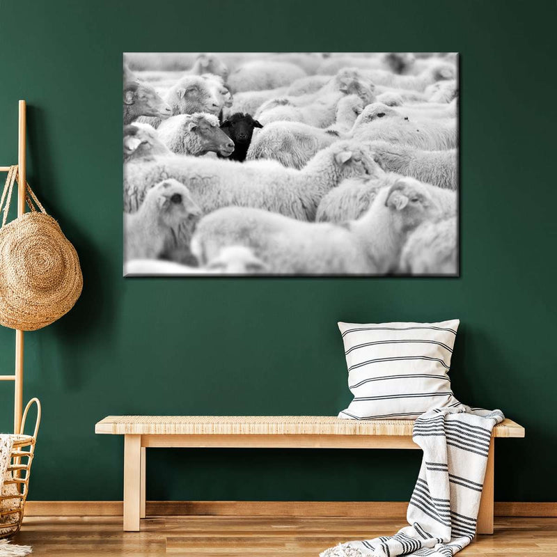 Distinct Black Sheep Wall Art