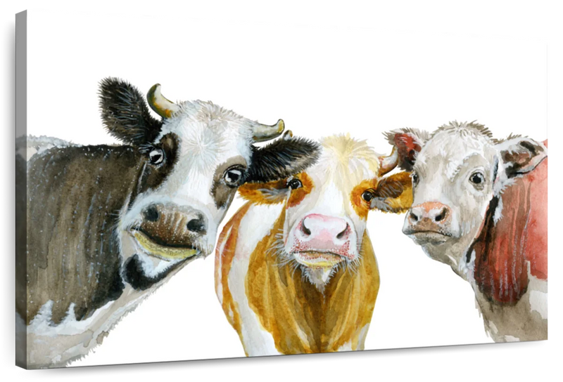 Cows Wall Art