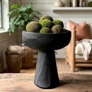 Modern Black Elevated Paulownia Wood Bowl Riser by Decor Steals