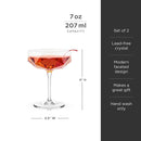 Seneca Faceted Coupe Glasses Set of 2 by Viski