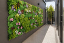 Dense Succulent Artificial Vertical Garden Green Wall Panel 20×20in – UV Resistant – Commercial Grade by Designer Plants USA