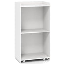 Rolling Podium Stand with 2 Shelves and Lockable Wheels by LJGDeals
