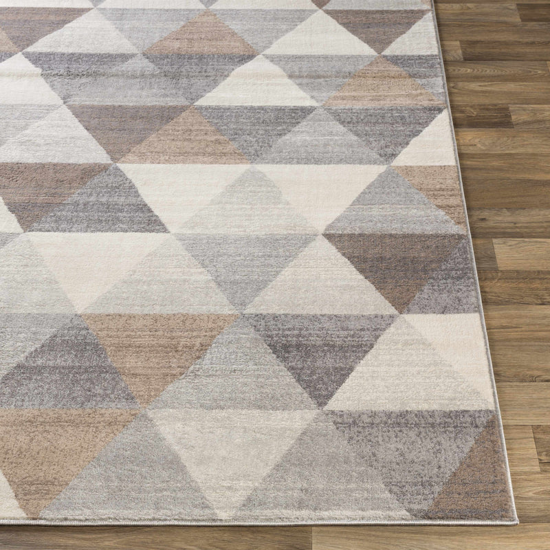 Sells Gray&Brown Triangles Area Carpet