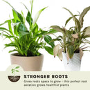 Coco Coir 10" x 20" Grow Mats by EnvelorHome