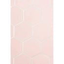 Blush Glossy Hexagon 5 Ceramic Tiles 5