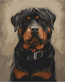 Rottweiler Dog