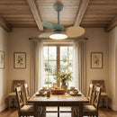 Round Colored Petal Shaped Ceiling Fan Lights