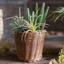 Round Rattan Basket