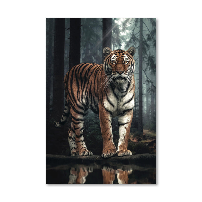 Royal Tiger Canvas