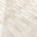 Royale Polished Marble Tiles 2 3/4x5 1/2