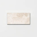 Royale Polished Marble Tiles 2 3/4x5 1/2