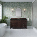 James Martin Brittany 60" Single Bathroom Vanity, Burnished Mahogany