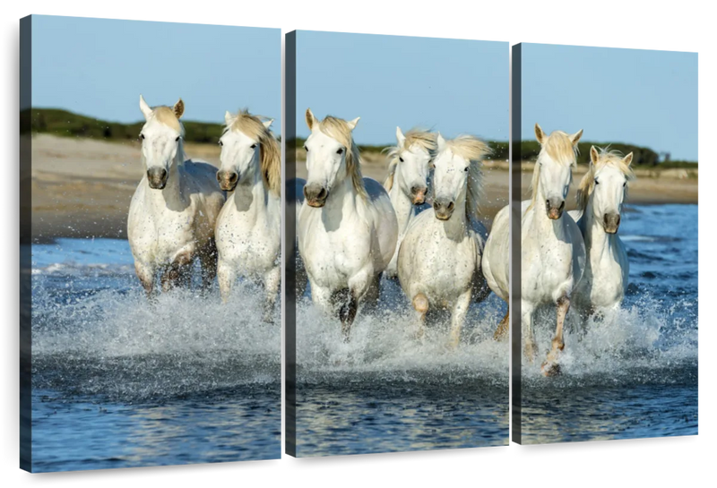 7 Horses Wall Art