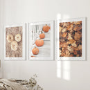 Cozy Fall Wall Art Set of 3. Pumpkins and Autumn Leaves by Wall Art Set