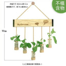 GobekUsa Glass Planter Vase with Wooden Stand for Wall Hanging Display