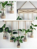 GobekUsa Glass Planter Vase with Wooden Stand for Wall Hanging Display