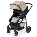 2-in-1 Foldable Pushchair Newborn Infant Baby Stroller by LJGDeals