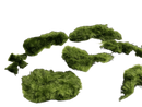 Unshaped Moss Ball Pieces - a bunch