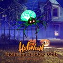 5 Feet Long Halloween Inflatable Creepy Spider with Cobweb and LEDs by LJGDeals
