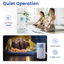 Portable AC 5000/6000 BTU (SACC) by DirectDeals