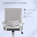 Mesh Home Office Desk Chair