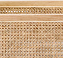 Meza Rattan Fabric Accent Armchair