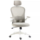Peterson Mesh Office Ergonomic Desk Chair