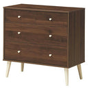 4-Drawer Dresser Cabinet Storage Organizer Rubber Leg with Rail-Brown by LJGDeals