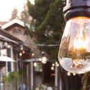 S14 Edison Light Bulbs