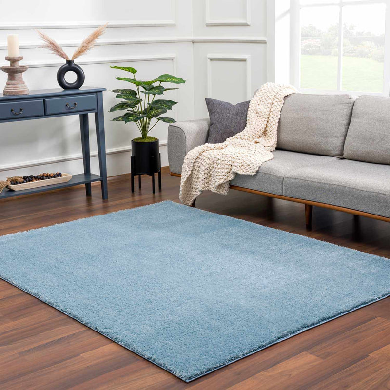 Heavenly Solid Blue Plush Rug