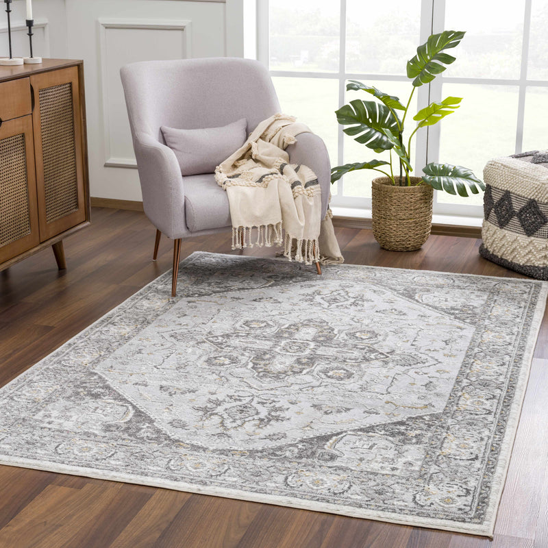 Liverpool Light Gray Area Rug