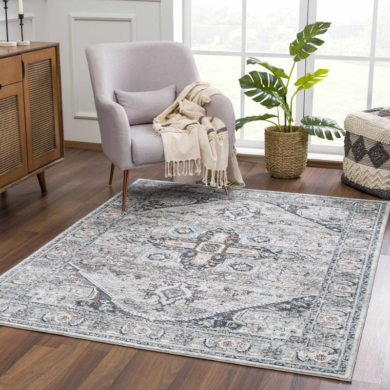 Liverpool Gray & Blue Area Rug