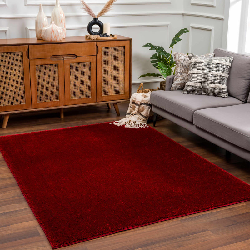 Heavenly Solid Red Plush Rug