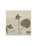 Botanical Thoughts III