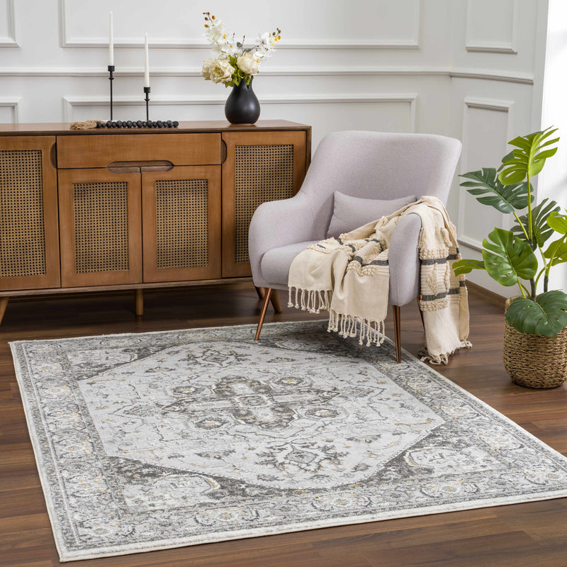 Liverpool Light Gray Area Rug