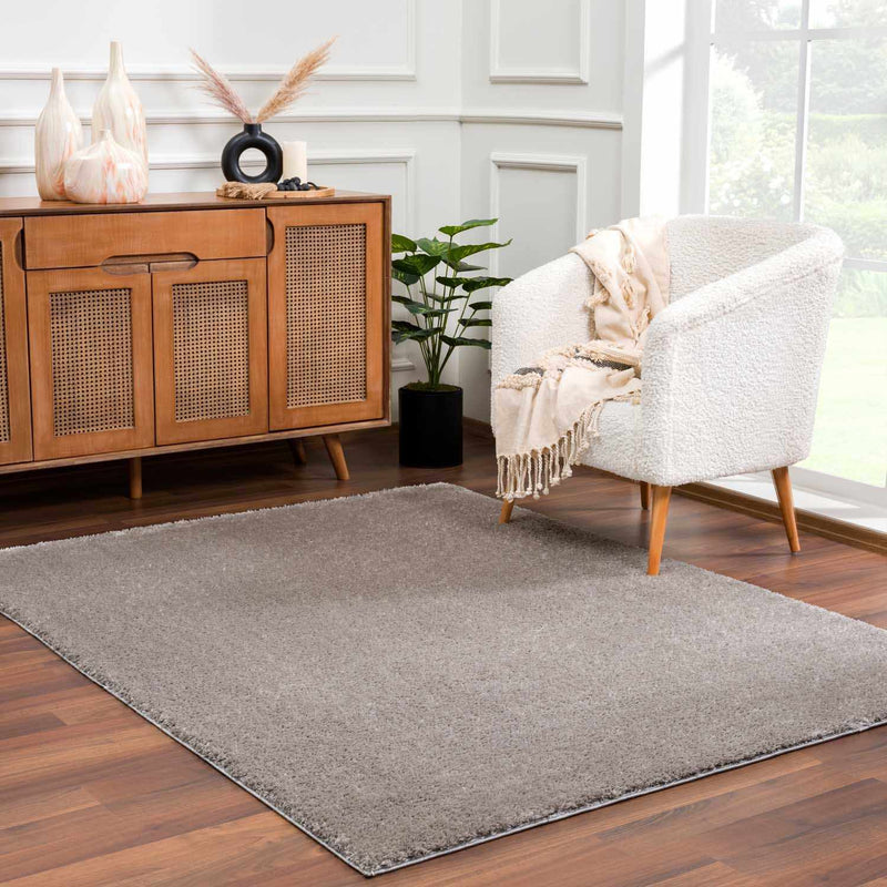 Heavenly Solid Gray Plush Rug