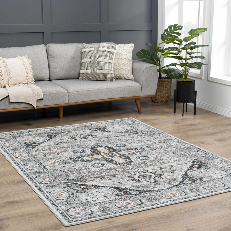 Liverpool Gray & Blue Area Rug