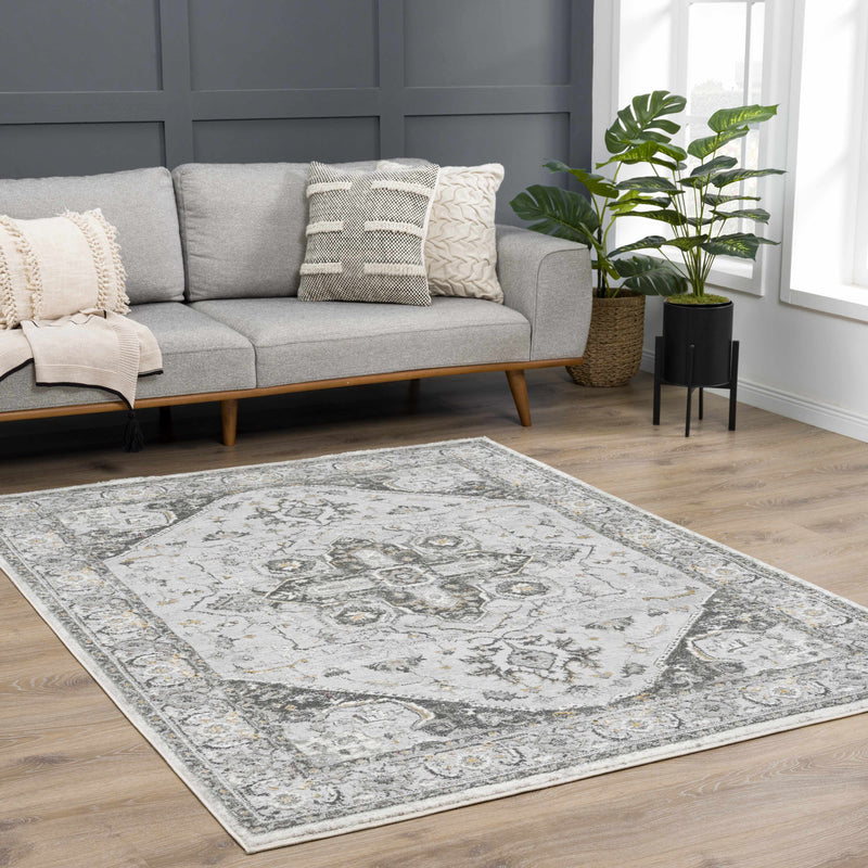 Liverpool Light Gray Area Rug