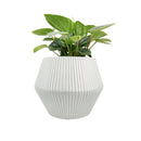 6 inch White Glazed Geometric Striped Ceramic Planter