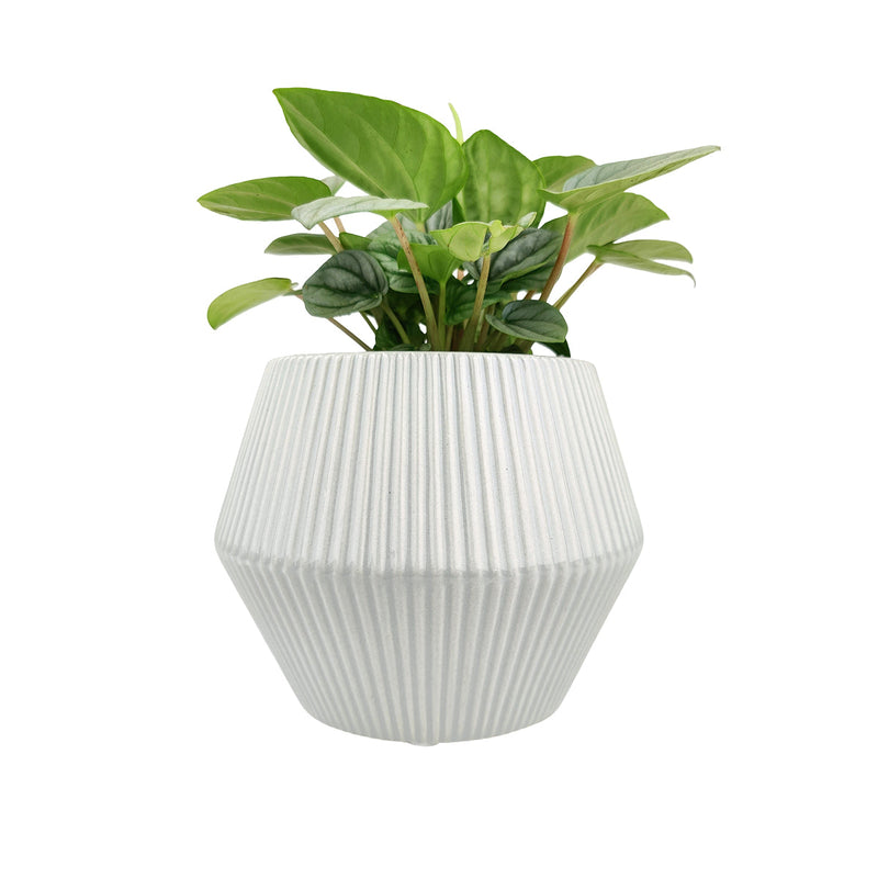 6 inch White Glazed Geometric Striped Ceramic Planter