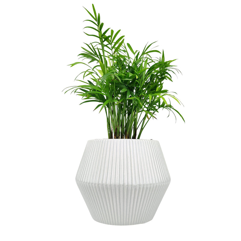 6 inch White Glazed Geometric Striped Ceramic Planter