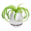 6 inch Grey Glazed Ceramic Contour Planter