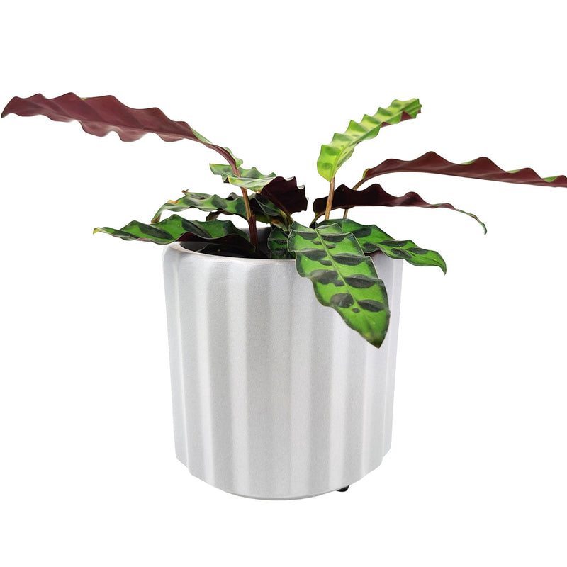 5 inch Grey Glazed Ceramic Cylinder Faux Cement Planter