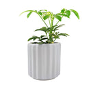 5 inch Grey Glazed Ceramic Cylinder Faux Cement Planter